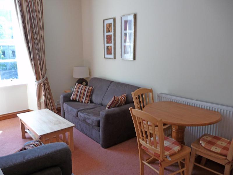 One-Bedroom Apartment image 2