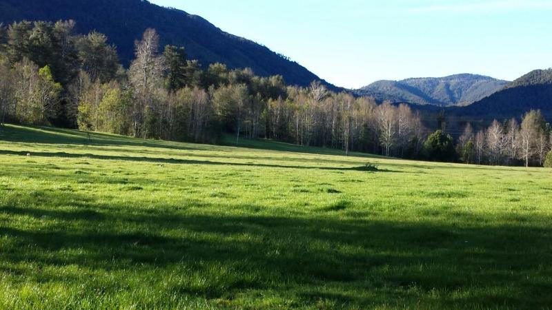 Cabañas Los Canelos Pucon Hermosa Granja de 20 hectaréas a orillas del Río Liucura - image 41