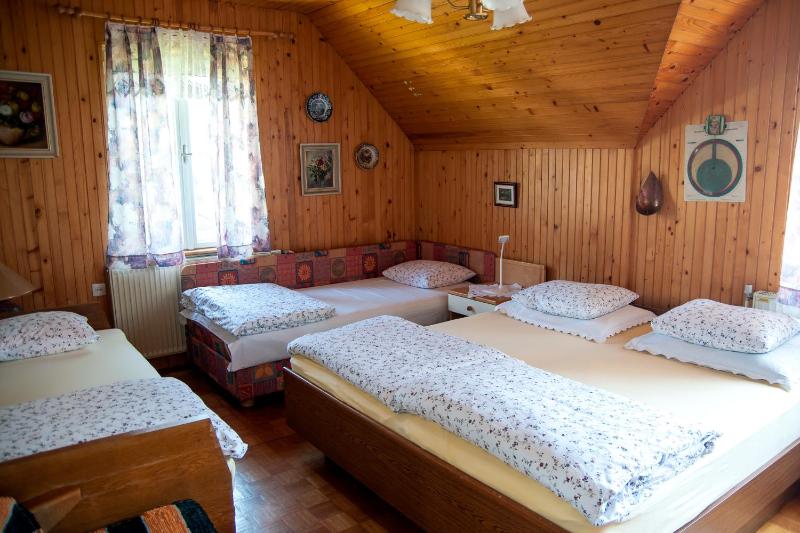 Lake View House Sovica - image 11