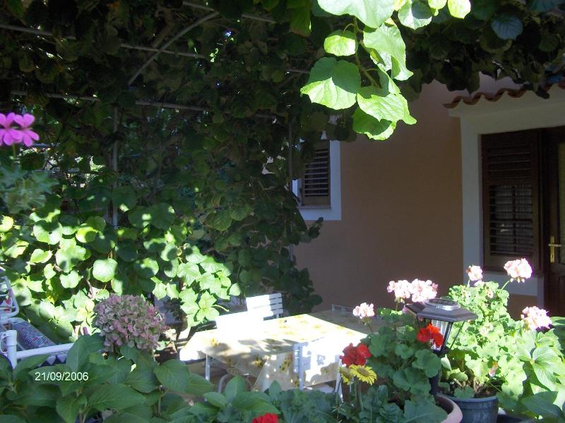 Apartments Beba - image 13