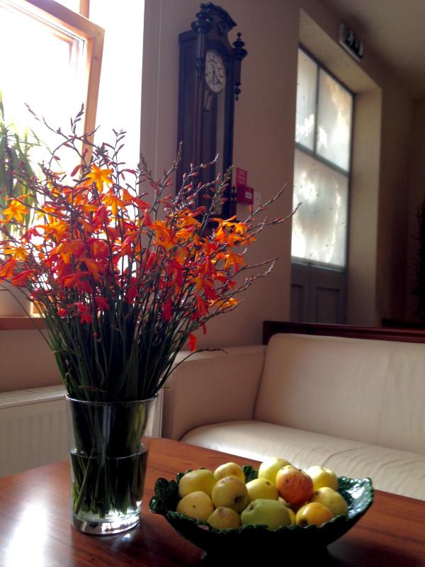 Hotel Vilhelmine - image 34