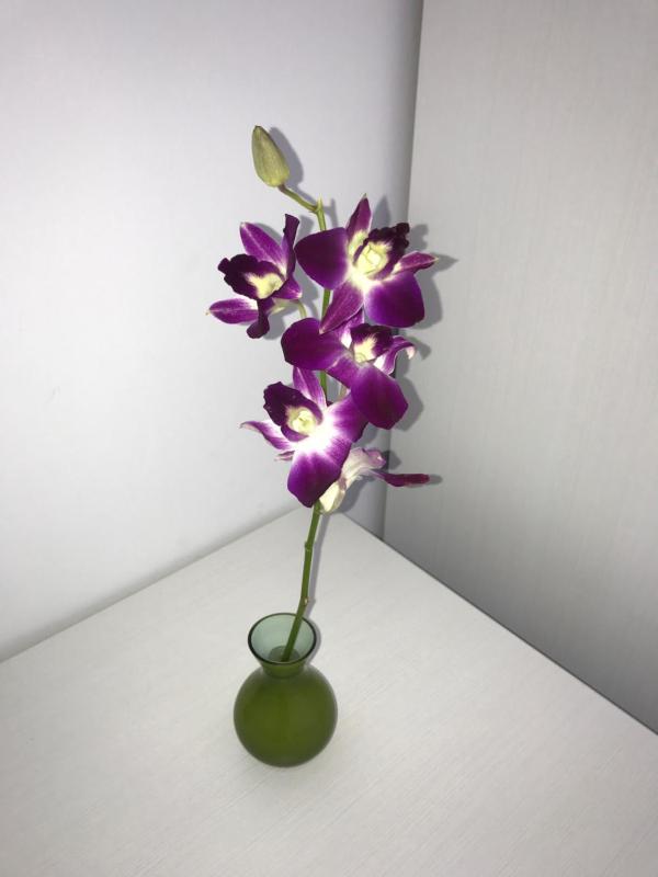 Superior Double or Twin Room with City View image 1