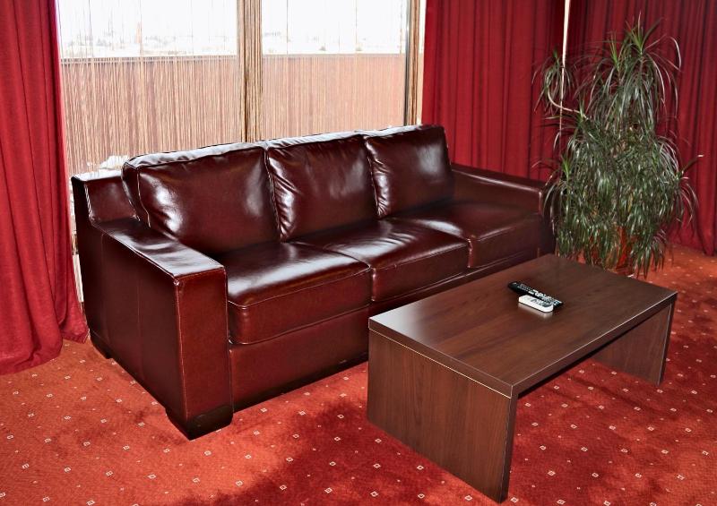 One-Bedroom Apartment with Terrace image 4
