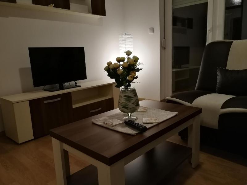 One-Bedroom Apartment image 4