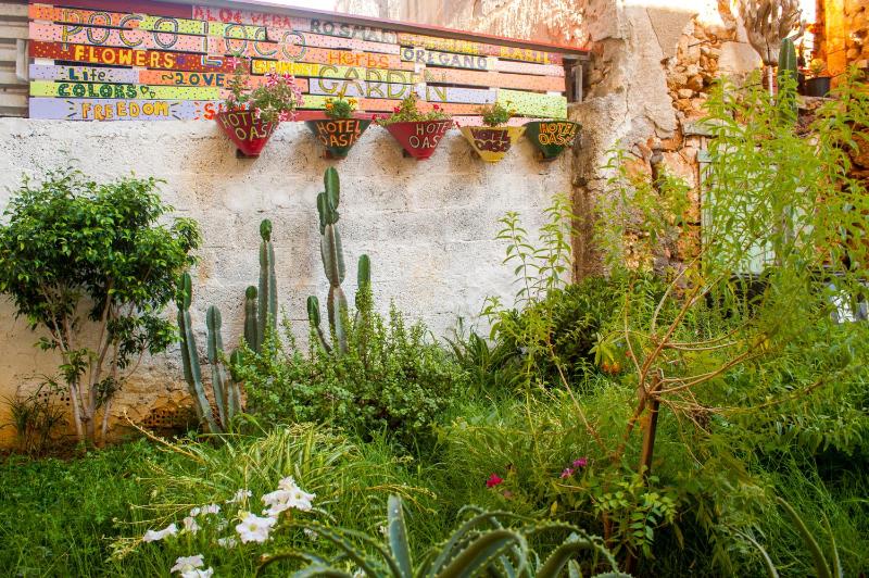 Poco Loco Bed & Breakfast - image 21