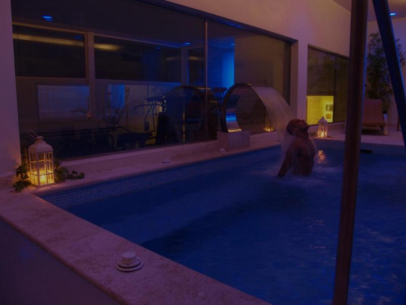 Superior Double or Twin Room image 2