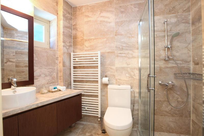 One-Bedroom Apartment image 3