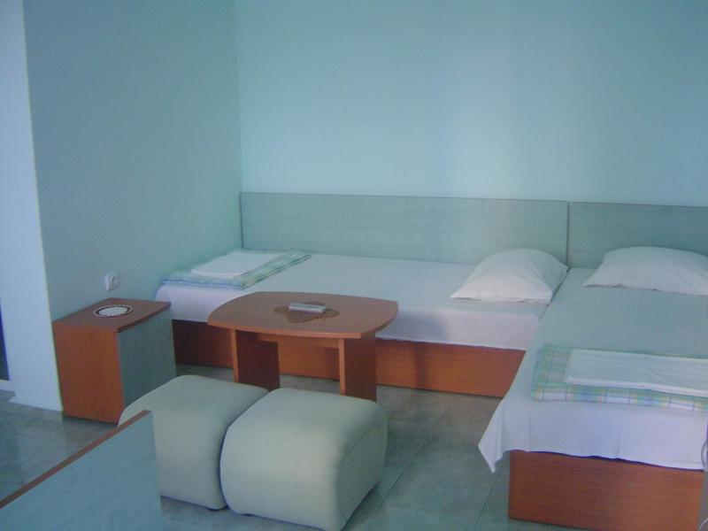 Guest House Dimovi - image 41