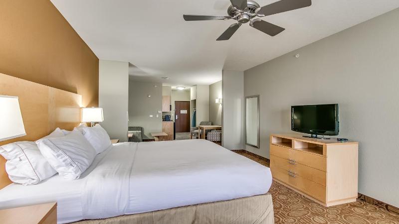 Standard King Room with Sofa Bed - Non-Smoking image 1