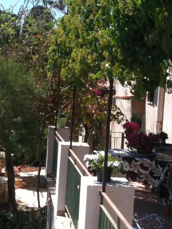 Apartment - Ground Floor image 3