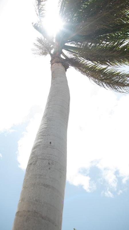 Arubahome - image 12