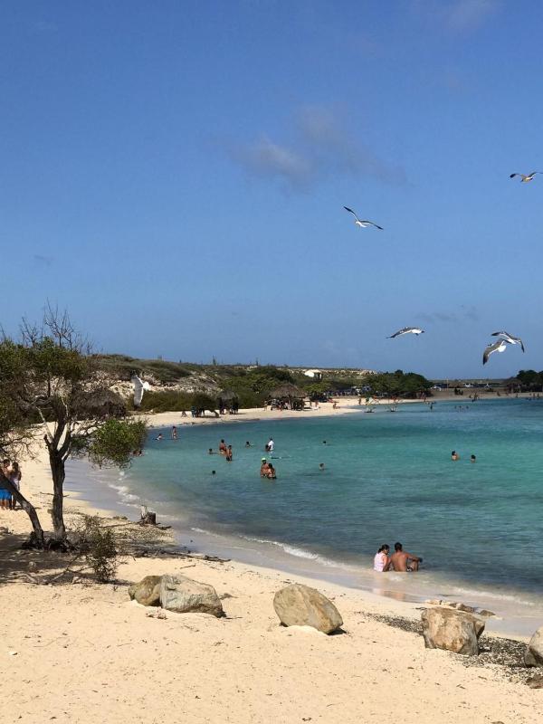 Arubahome - image 14