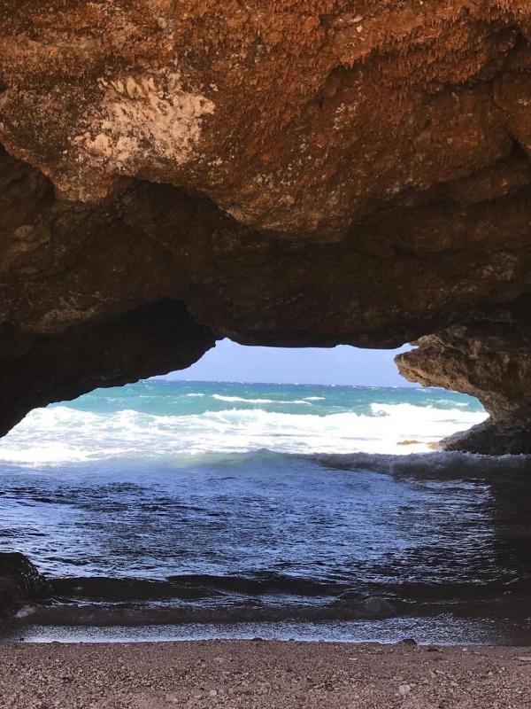 Arubahome - image 22