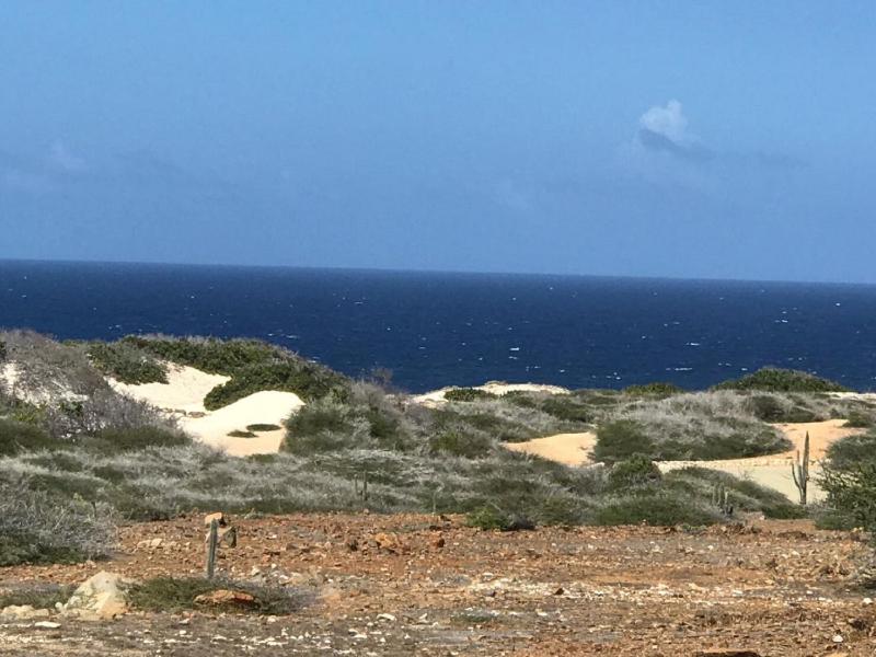 Arubahome - image 8