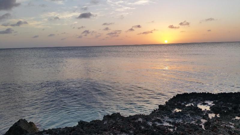 Arubahome - image 30