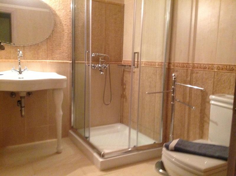 One-Bedroom Apartment (4 Adults) image 2