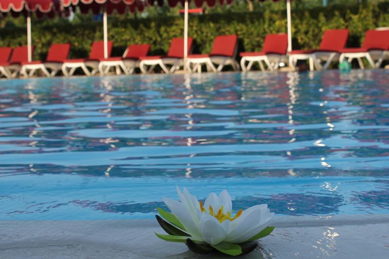 Hotel Le Tegnue - image 37