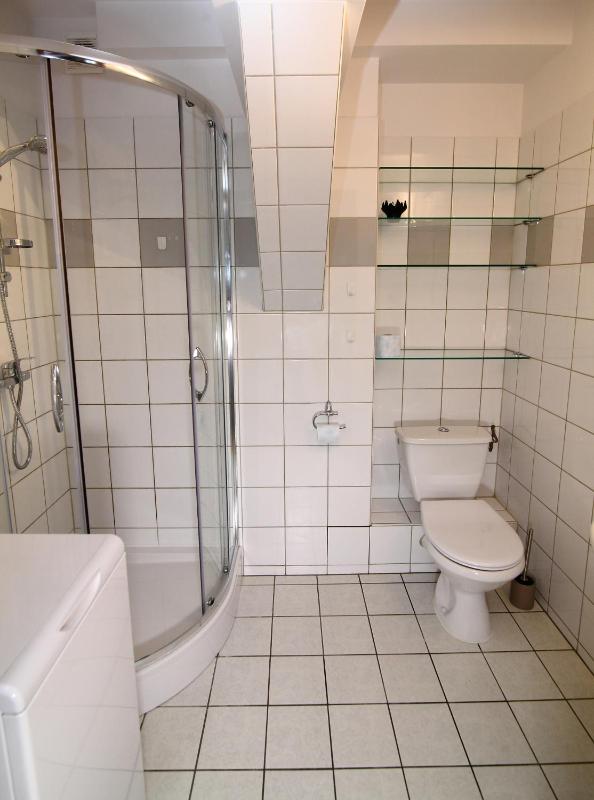 One-Bedroom Apartment image 2