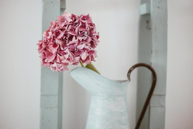 Deluxe Twin Room image 2