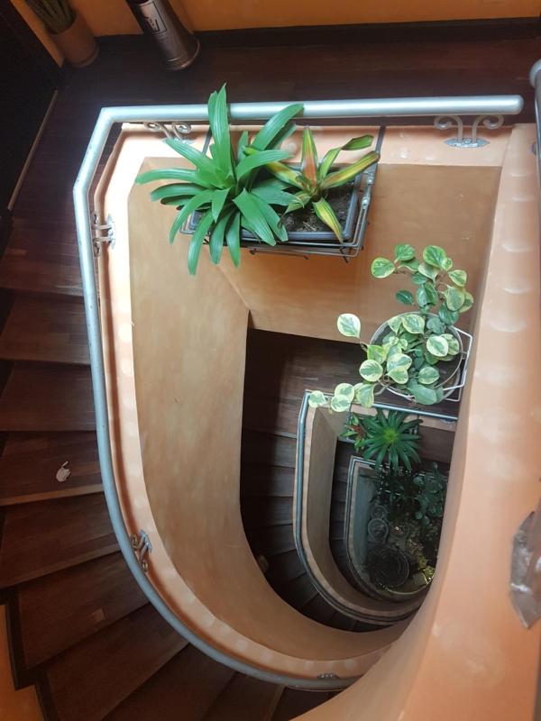 Sole Hotel - image 12