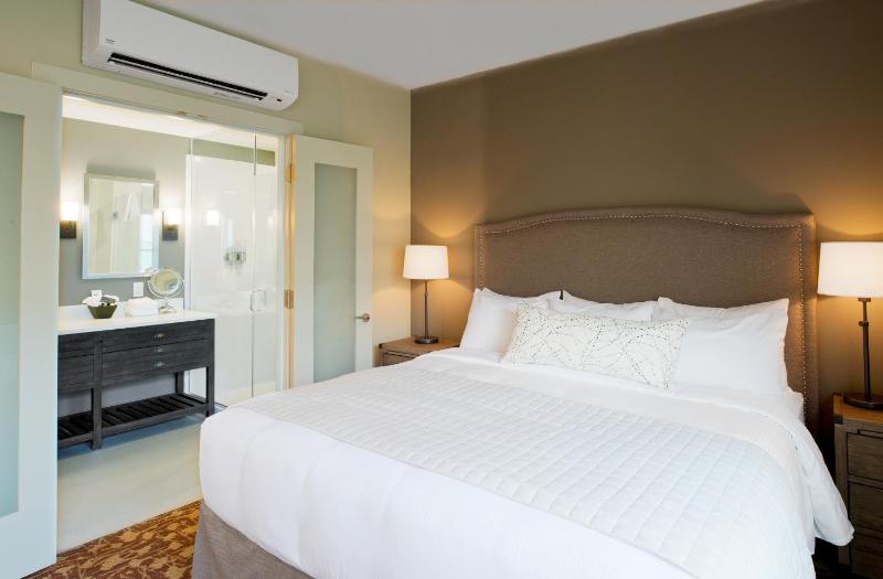 Deluxe King Suite image 2