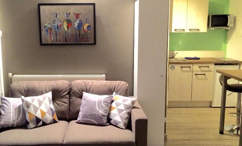 Studio Apartment image 2