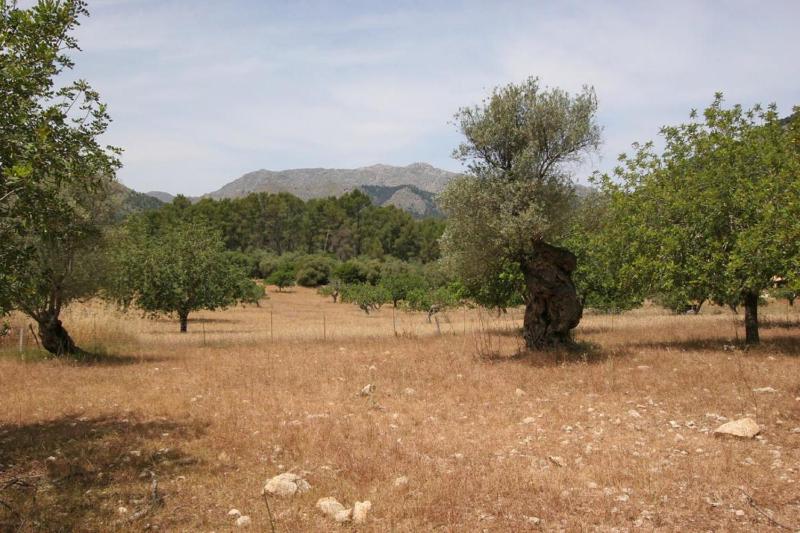 Villa Guillo - image 40