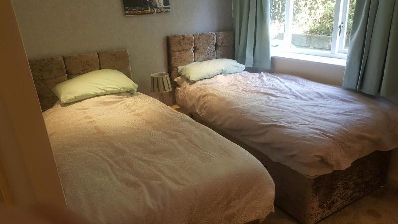 Standard Twin Room image 1