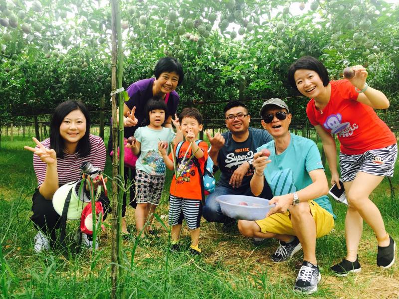 Songfeng Xiuxian Homestay - image 14
