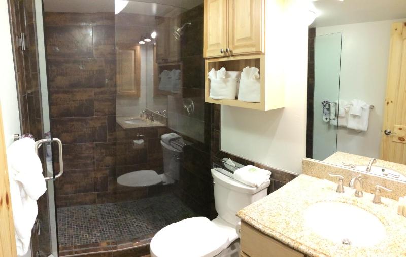 Vail Racquet Club Mountain Resort - image 19
