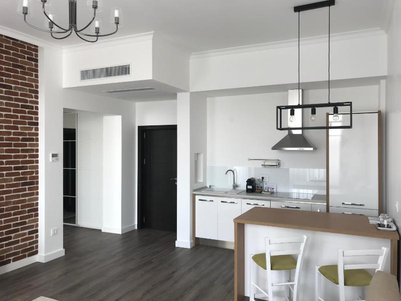 Deluxe Apartment image 3