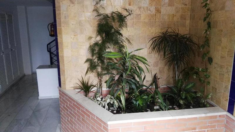 Fan Flat Eugenio - image 13