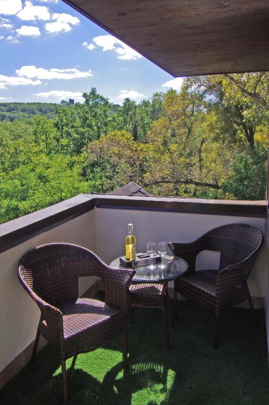 Presidential Suite image 3