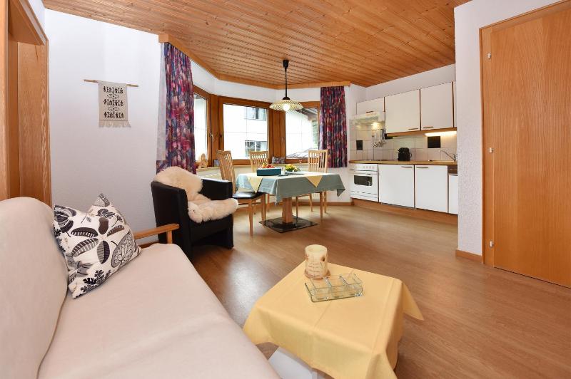 One Bedroom Apartment image 3