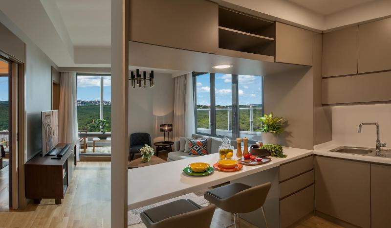 One-Bedroom Executive Apartment image 4