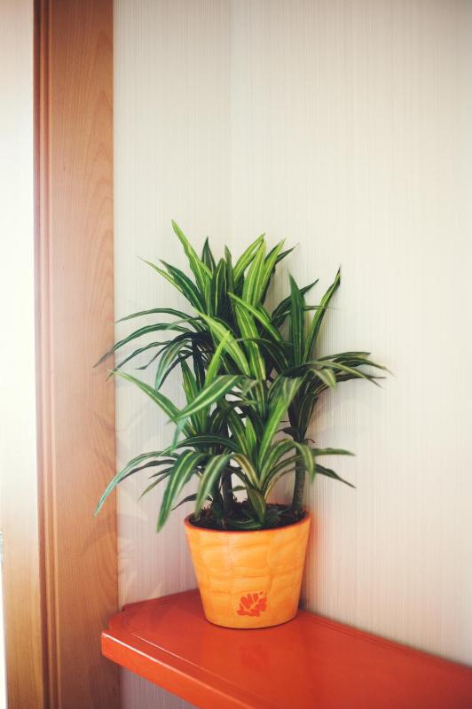 Double or Twin Room with Terrace - Sea View image 4