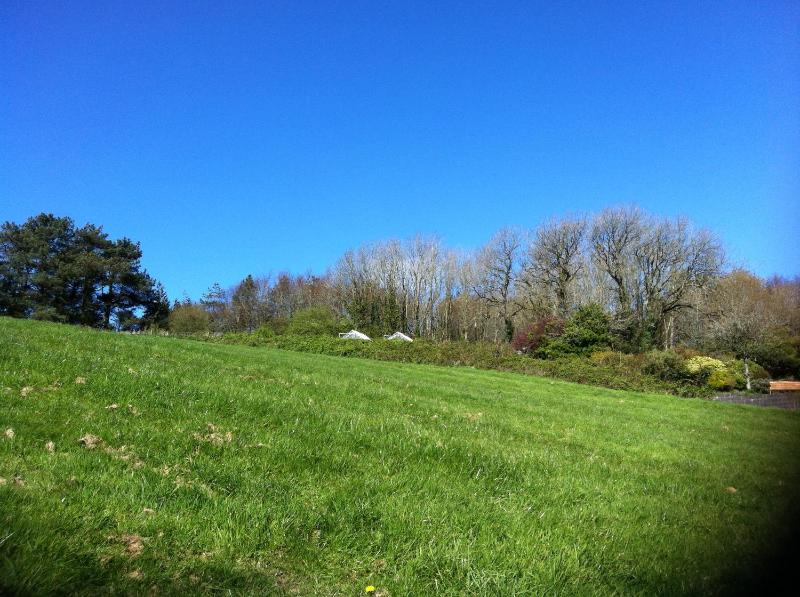 St Lawrence Guest House - image 21