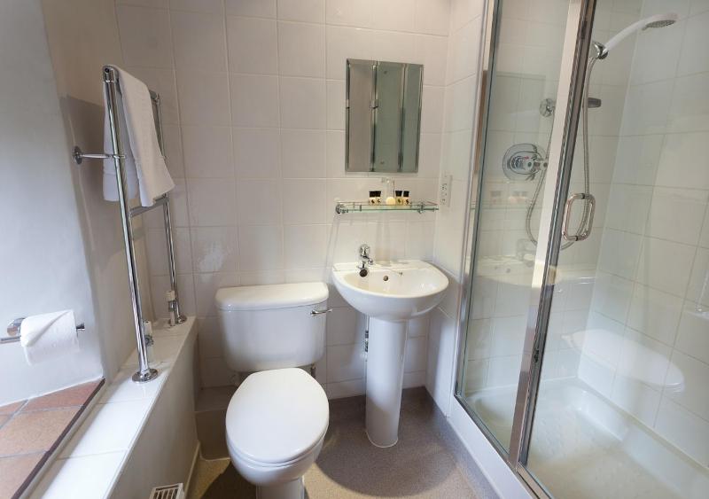 Single Room image 4