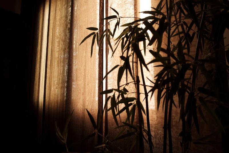 Deluxe Double Room image 1