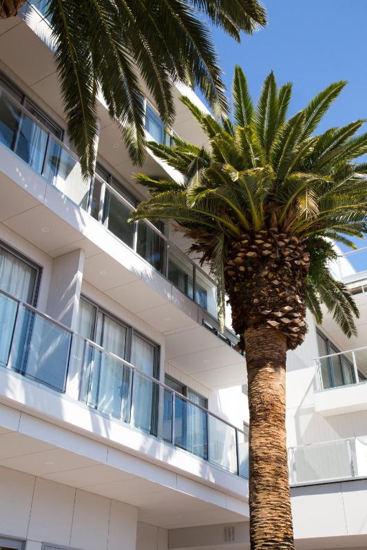 The Palms Apartments - image 4
