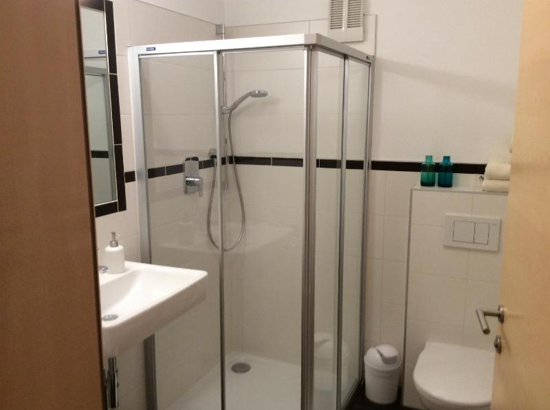 Two-Bedroom Apartment image 4