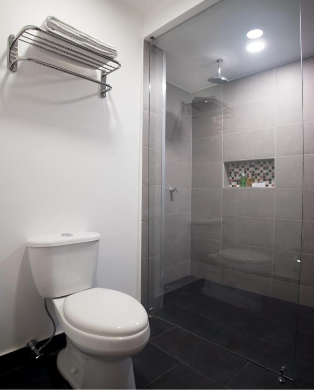 Torre de Cali Plaza Hotel - image 48