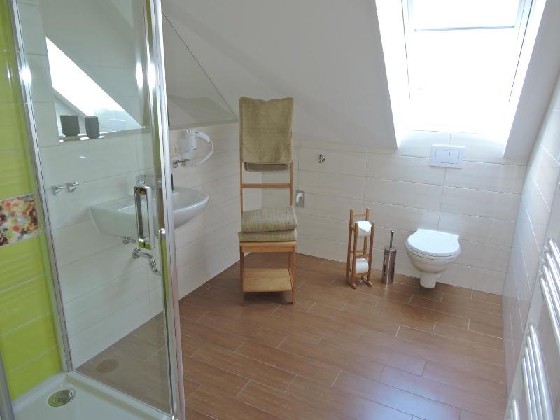 Duplex Apartment image 4