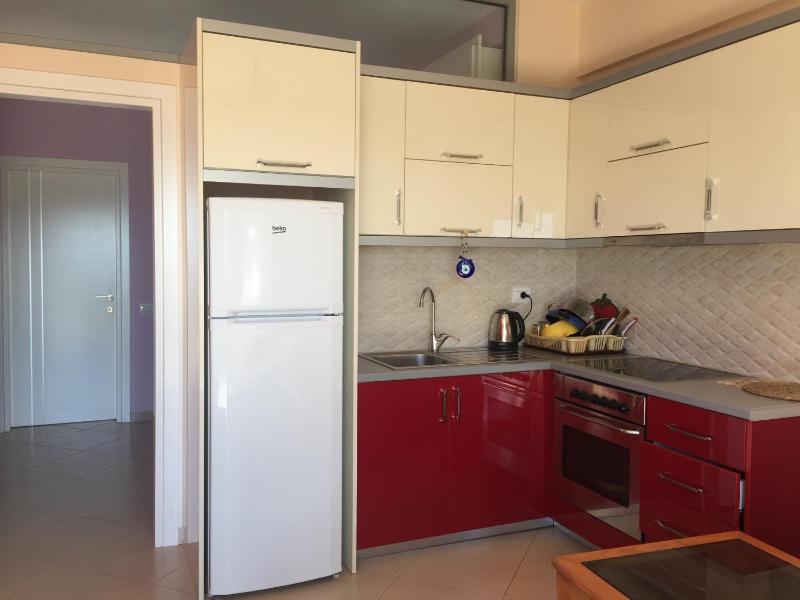 One-Bedroom Apartment image 3