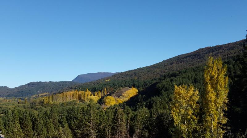 Cabaña Del Árbol - image 8
