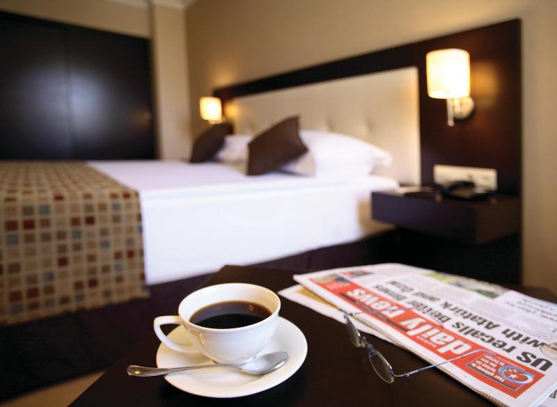 Standard Twin Room image 2