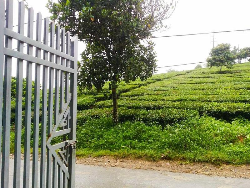 Homestay Moc Chau - image 25