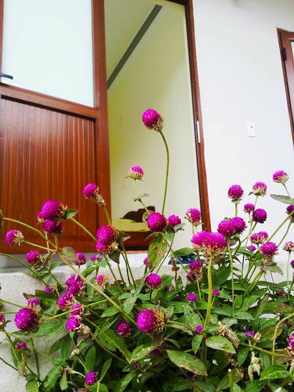 Homestay Moc Chau - image 28
