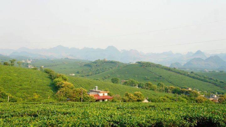 Homestay Moc Chau - image 15