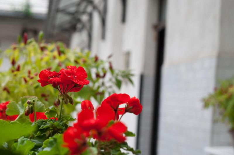 Studio Apartment image 4